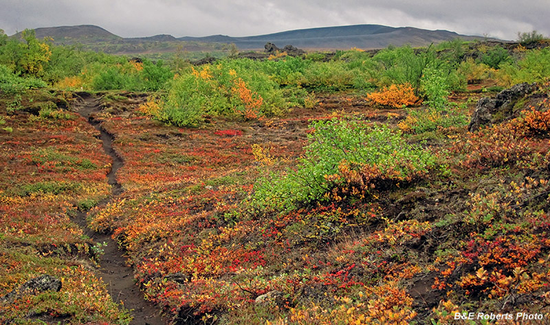 Dimmuborgir