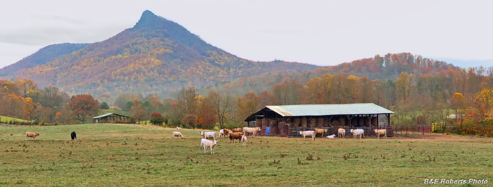 Barn_and_Bell_Knob