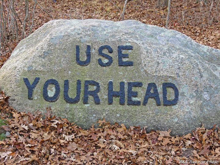 Use_Your_Head