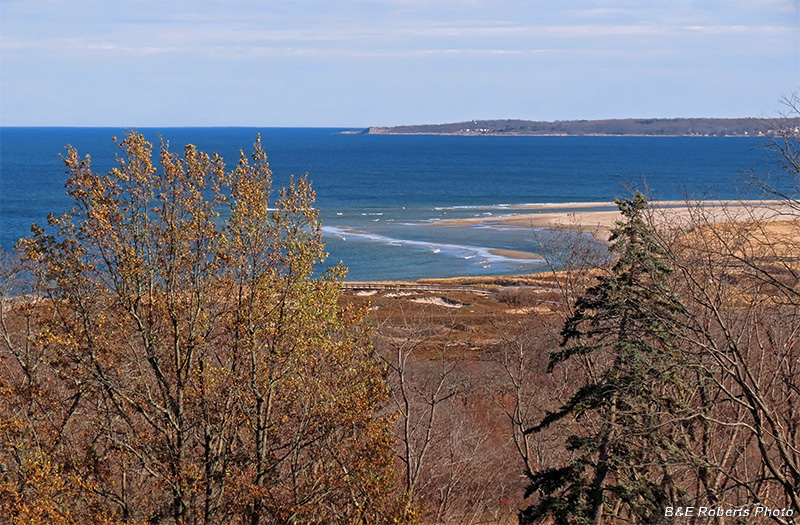 Beach_view