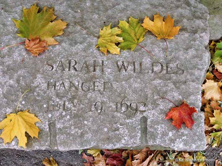 Sarah Wildes