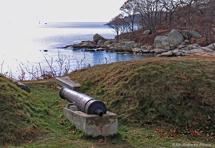 Cannon