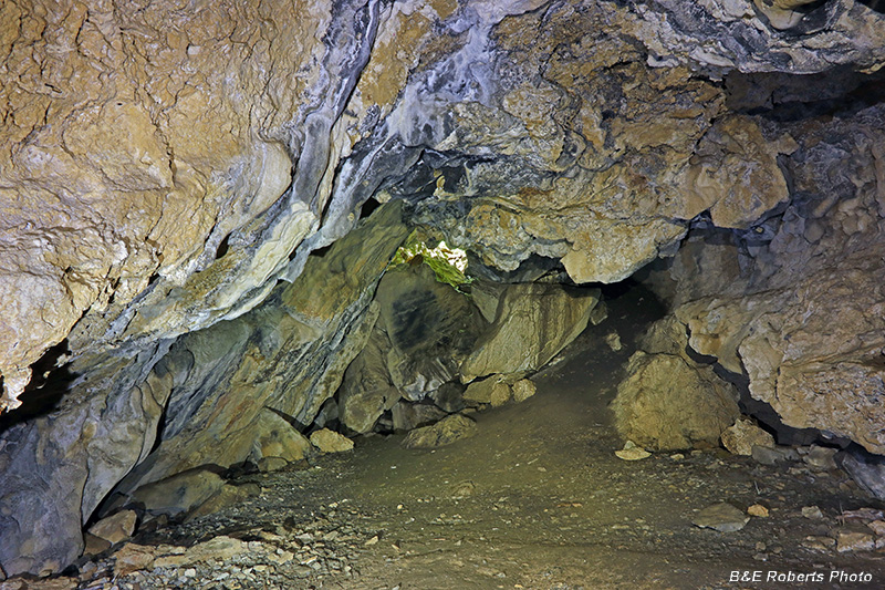 Cave