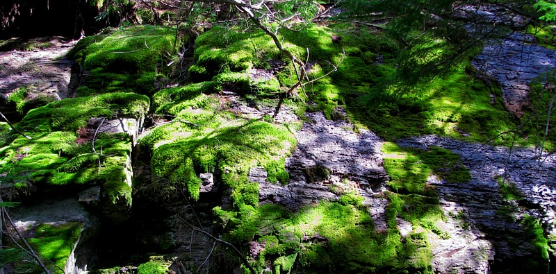 Mossy_rocks