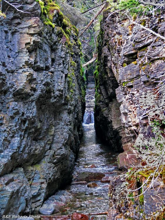 Sunrift_Gorge