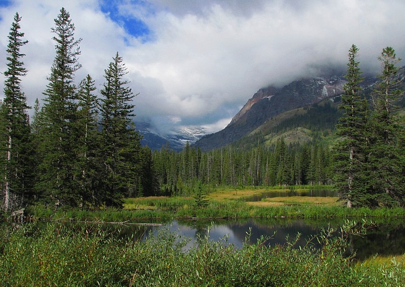 Beaver_ponds