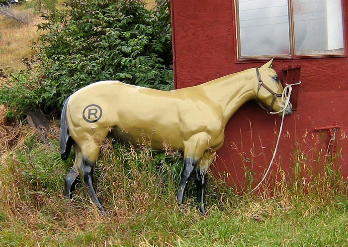 Horse