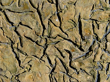 Rock_patterns