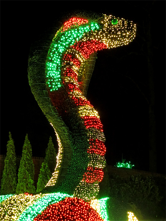 Cobra_Lights