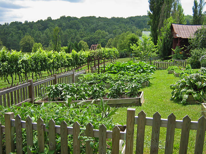 Culinary_garden