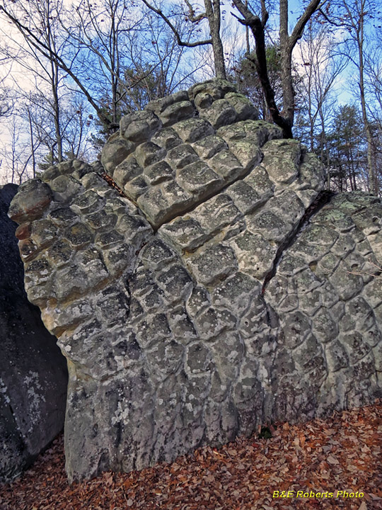 Turtle_boulder_texture