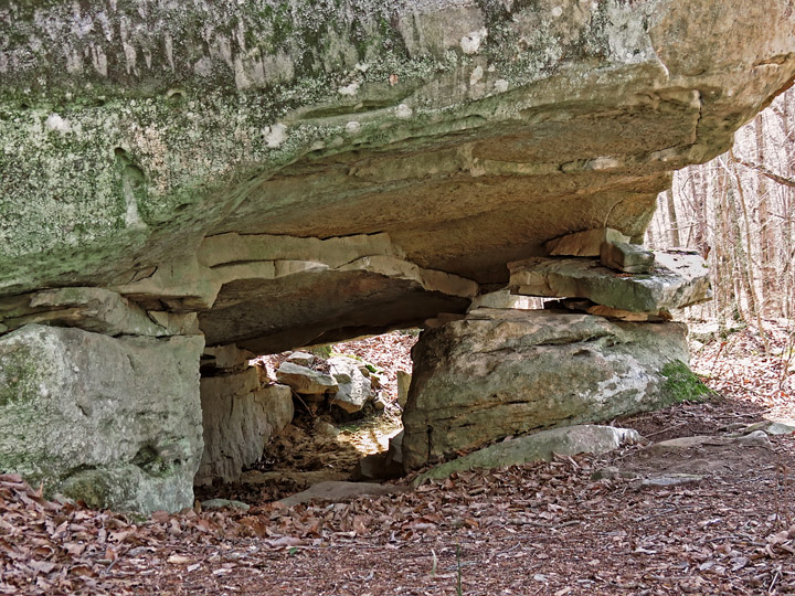 Rock_shelter