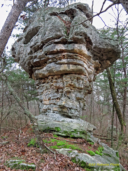 Rock_Pillar