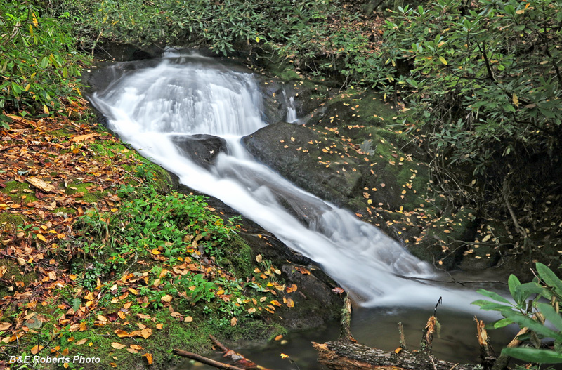 Persimmon_trib_Falls