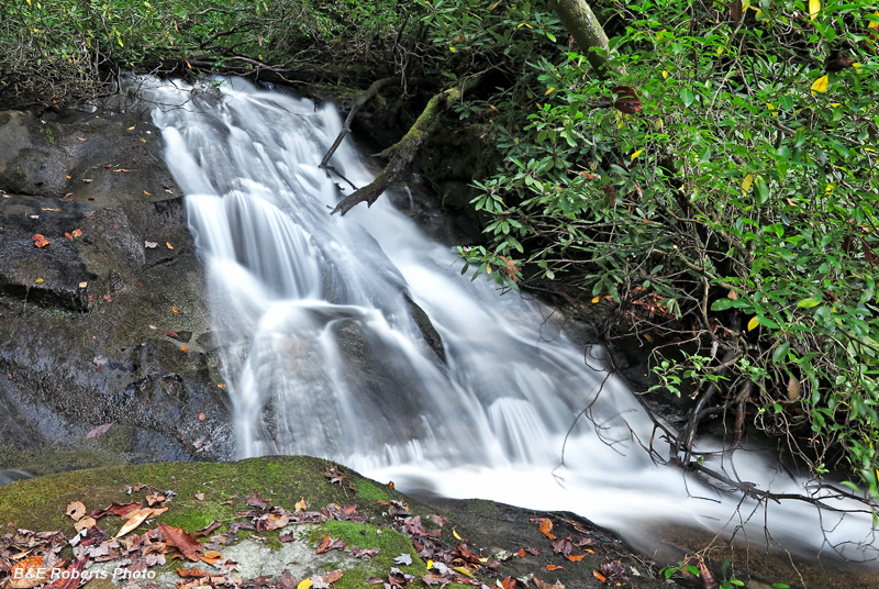 Persimmon_trib_Falls