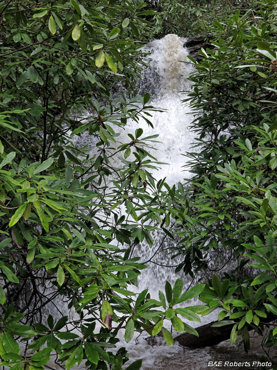 Rocky_Branch_Falls