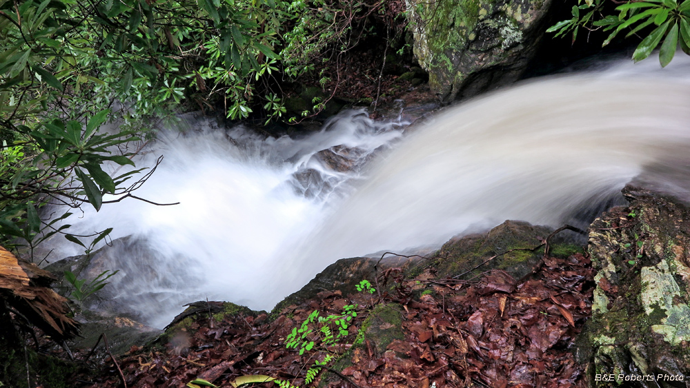 Rocky_Branch_Falls