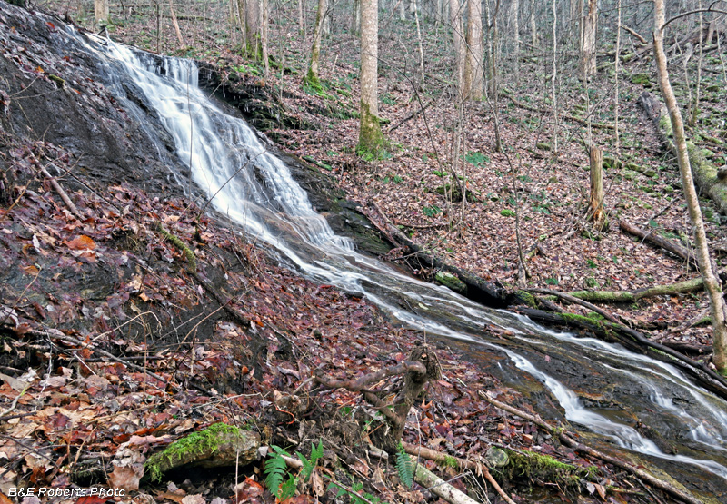 Ledford_Branch_Falls