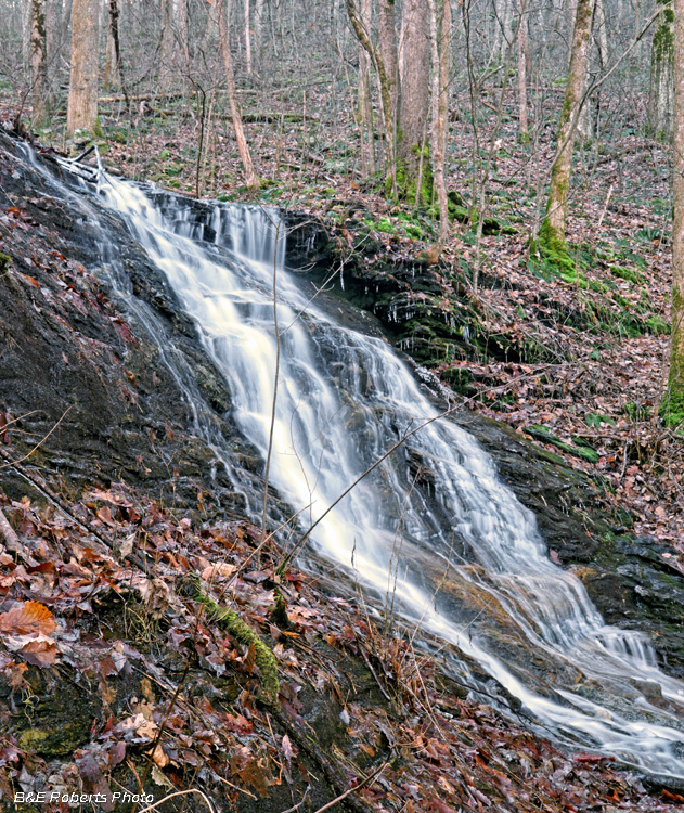 Ledford_Branch_Falls