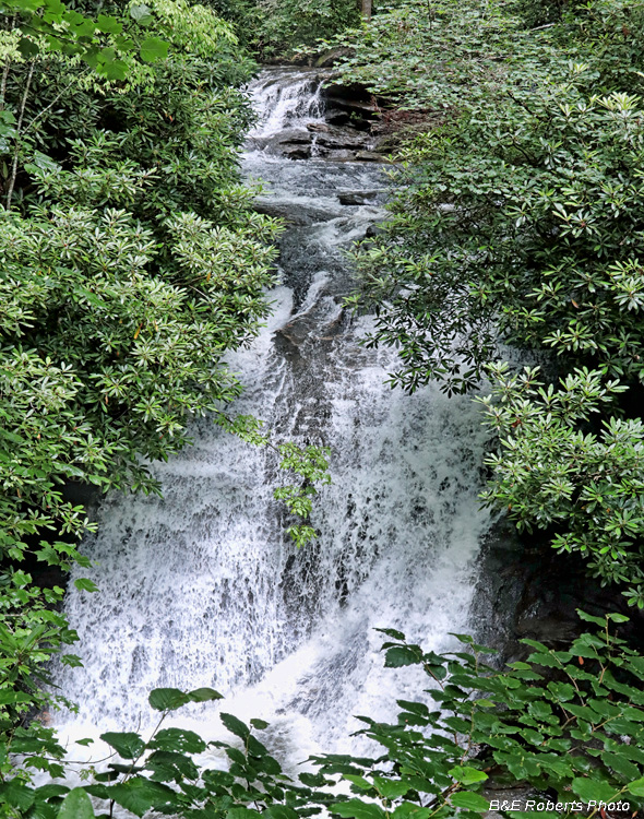 Sea_Creek_Falls