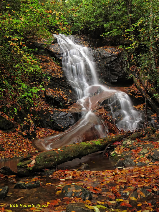 Log_Hollow_Branch_Falls