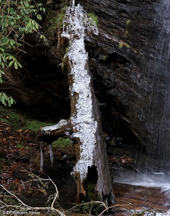 Ramey_Falls-log