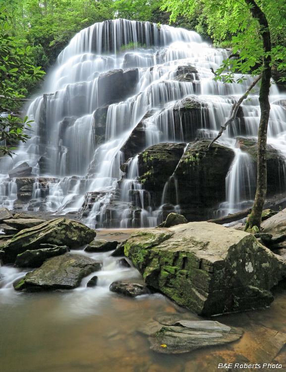 Yellow_Branch_Falls