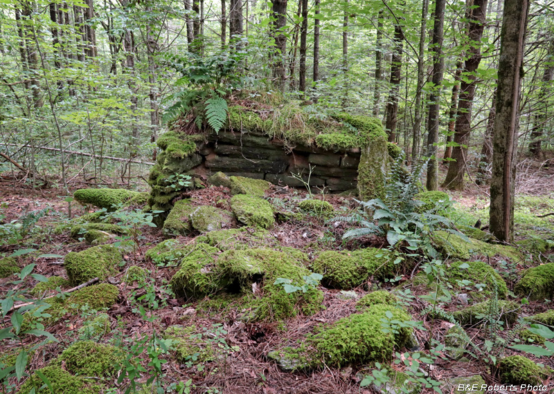 Collapsed_Chimney