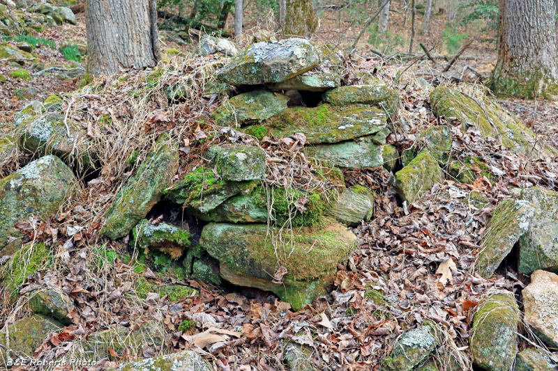 Chimney_remains