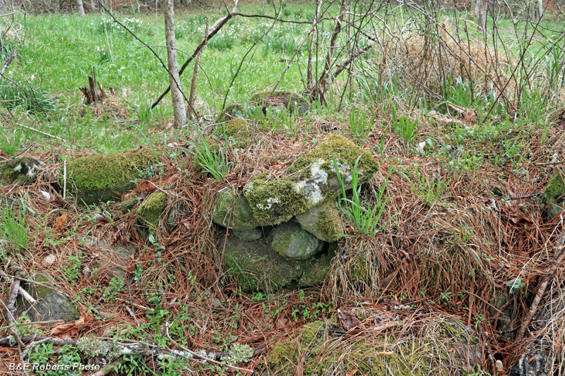 Chimney_stones