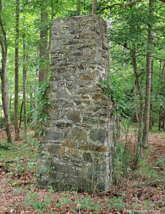 Chimney_rear