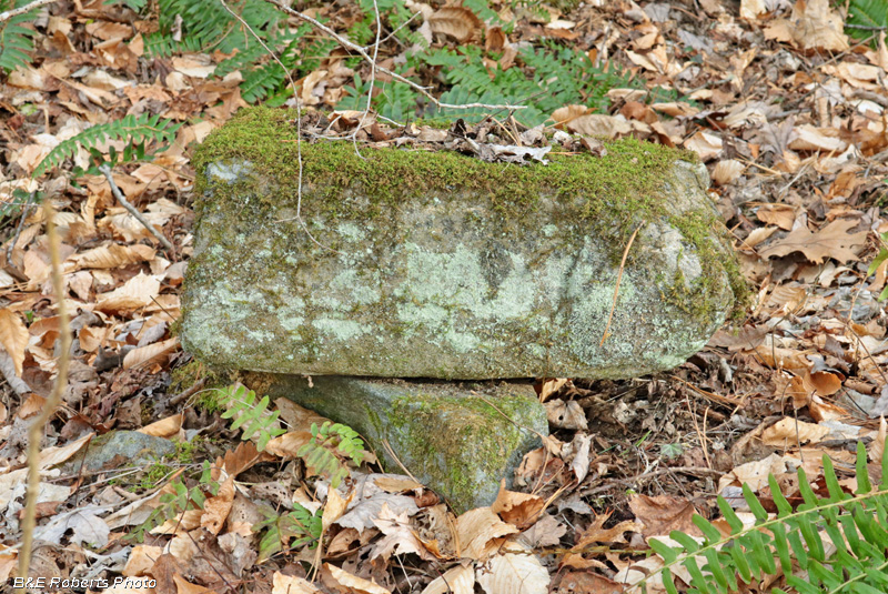 Foundation_stones