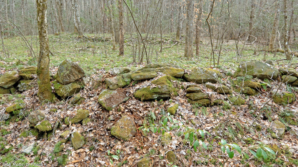 Terrace_wall-House_mound