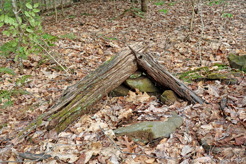 Log_corner