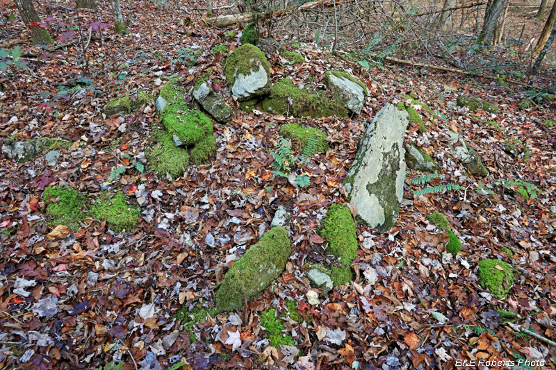 Collapsed_Chimney