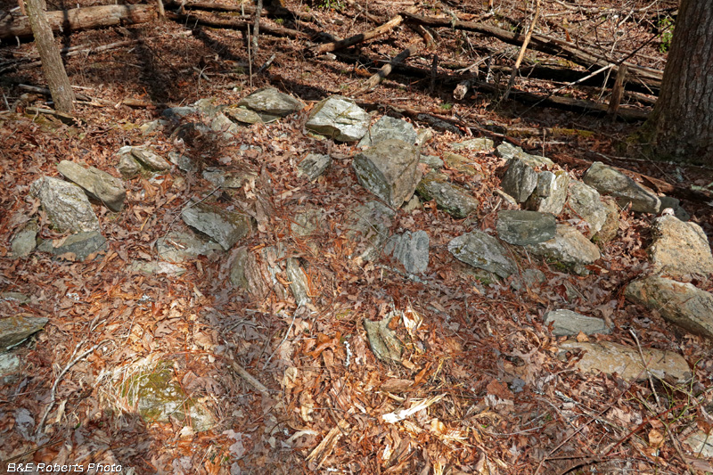 Collapsed_chimney