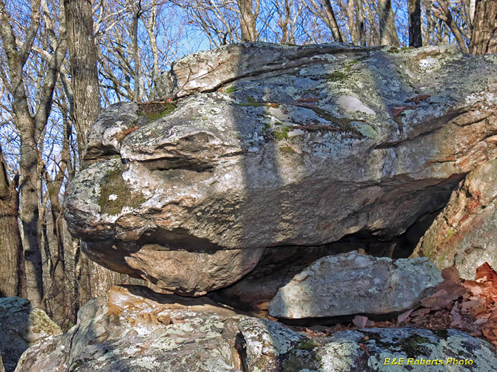 Animal-head_rock