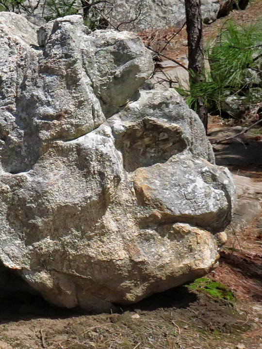 Animal_Head_rock