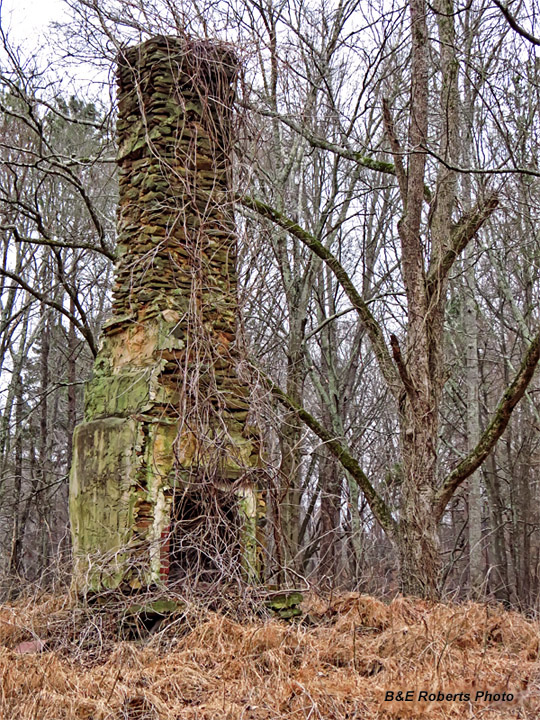 Johnson_house_chimney