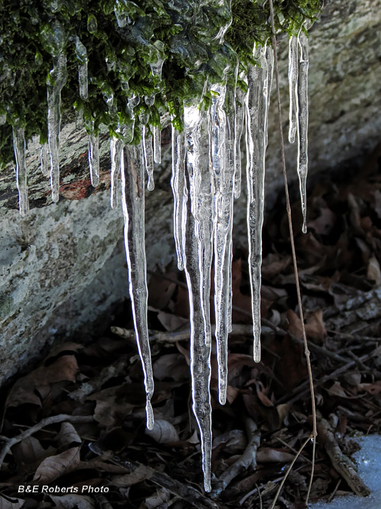 Icicles