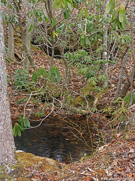 Tunnel_mouth_and_shaft