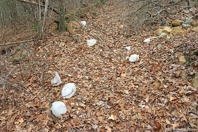 Discarded_water_jugs