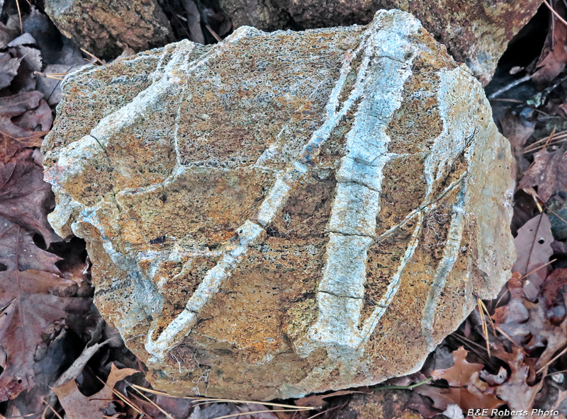 Veined_rock