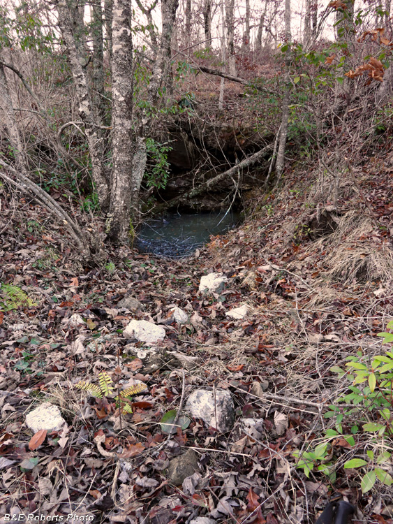 Flooded_Ridge_Tunnel