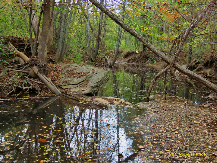 Allatoona_Creek