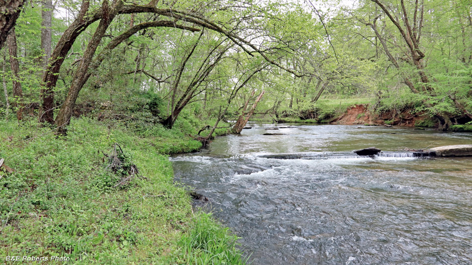 Brasstown_Crk_and_Wall