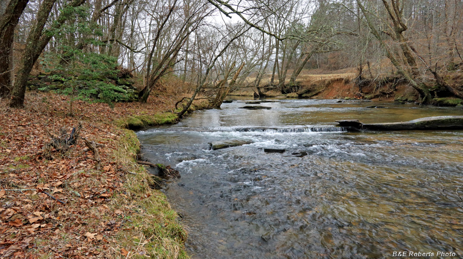 Brasstown_Creek