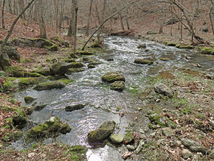 Spring_downstream