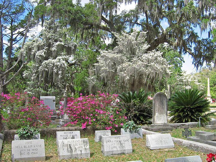 Cemetery_plots