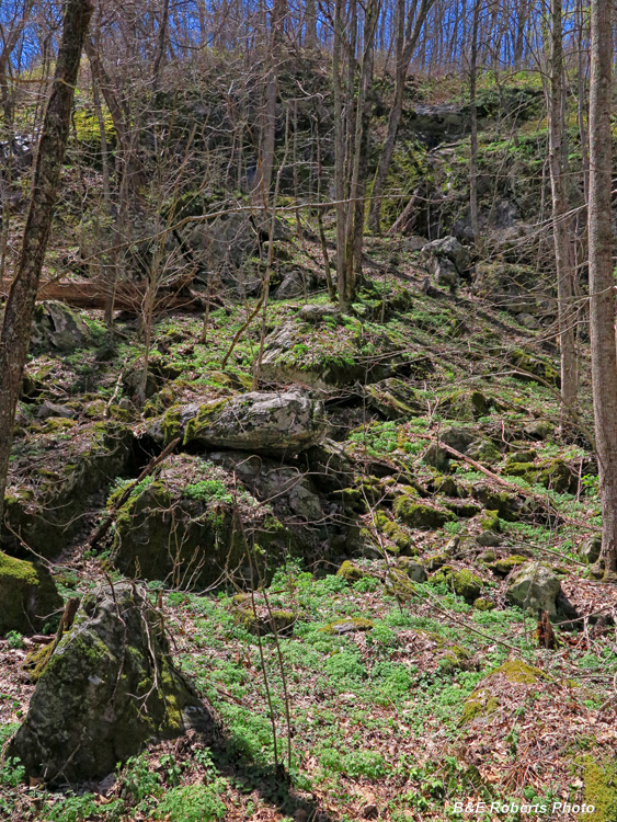 Boulder-field